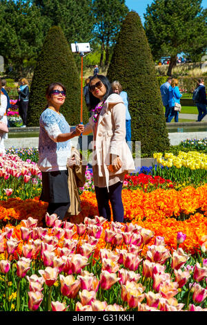 Il Keukenhof, giardino, parco divertimenti, Molla Park, flower show in primavera Lisse, Paesi Bassi, Foto Stock