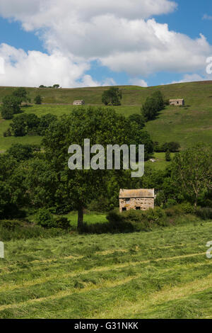 Linee di mown erba di prato e tradizionale, pietra, campo fienile - accoccolato sotto le colline nei pressi di Hawes, Yorkshire Dales, Inghilterra. Foto Stock