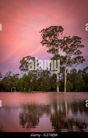 Camden, nel New South Wales, Australia. Il 6 giugno, 2016. Campo Belgenny allagata dopo forti piogge Credit: Fotografia Stonemeadow/Alamy Live News Foto Stock