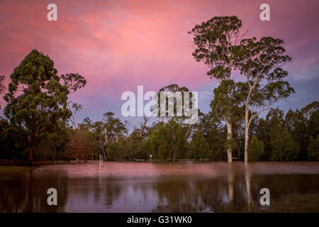 Camden, nel New South Wales, Australia. Il 6 giugno, 2016. Campo Belgenny allagata dopo forti piogge Credit: Fotografia Stonemeadow/Alamy Live News Foto Stock