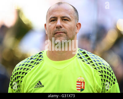 Gelsenkirchen (Germania). 04 Giugno, 2016. Ungheria il portiere Gabor KIRALY prima del calcio internazionale amichevole tra Germania e Ungheria alla Veltins Arena di Gelsenkirchen, Germania, 04 giugno 2016. Foto: MARIUS BECKER/dpa/Alamy Live News Foto Stock