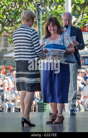 Malmö, Svezia. 6st giugno, 2016. Il governatore presentando la bandiera svedese. Tommy Lindholm/Alamy Live News Foto Stock