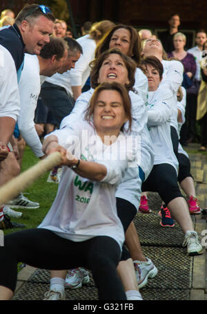 Westminster, Londra, 6 giugno 2016. MPs femmina tirare contro il McMillans wonen squadra come squadre provenienti da Regno Unito industria nonché la Camera dei Comuni e dalla Camera dei Lords competere nel bilancio annuale McMillan cancro rimorchiatore di carità o di guerra. Credito: Paolo Davey/Alamy Live News Foto Stock