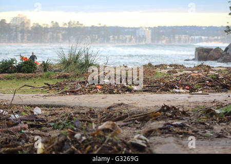 Sydney, Australia. Il 6 giugno, 2016. I postumi del re di marea e forti tempeste a Shelly Beach. Credito: Max gru/Alamy Live News Foto Stock