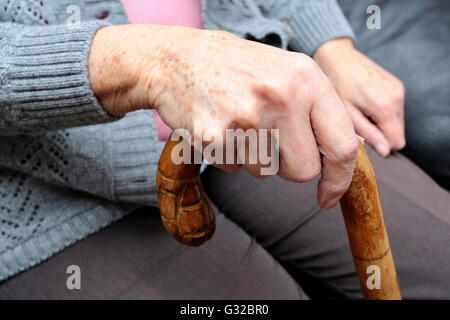 Una mano di una donna anziana su una canna da zucchero Foto Stock