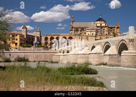 Il ponte romano e la moschea-cattedrale di Cordoba, noto anche come Mezquita-Catedral, Cordoba, Andalusia, Spagna, Europa Foto Stock