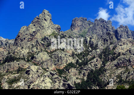 L'ago-simili Vette di Bavella in Corsica, Alta-Rocca, Francia Foto Stock