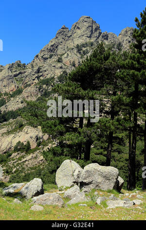 L'ago-simili Vette di Bavella in Corsica, Alta-Rocca, Francia Foto Stock