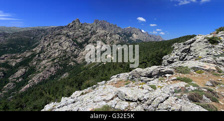 L'ago-simili Vette di Bavella in Corsica, Alta-Rocca, Francia Foto Stock