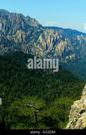 L'ago-simili Vette di Bavella in Corsica, Alta-Rocca, Francia Foto Stock