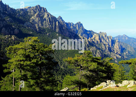 L'ago-simili Vette di Bavella in Corsica, Alta-Rocca, Francia Foto Stock