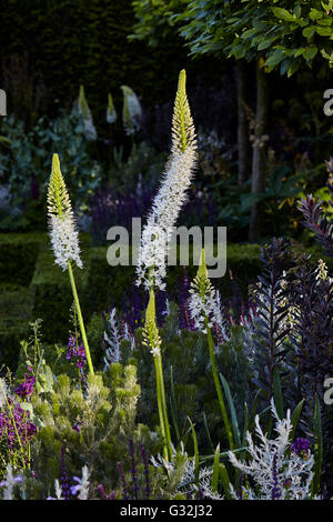 Chelsea Flower Show 2016 Designer Giardini Charlie Allbone Husqvarna Garden Foto Stock