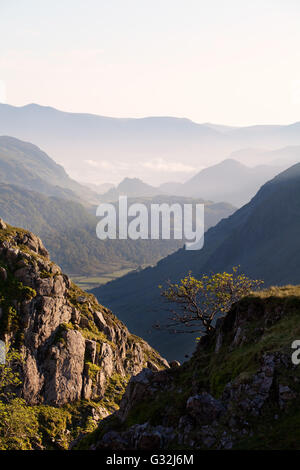 La vista verso il basso Borrowdale dalla testa di Ruddy Gill, nel Lake District inglese. Foto Stock