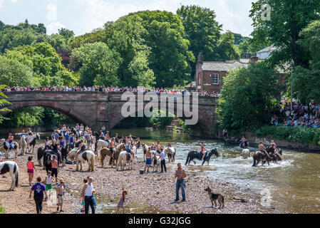 Appleby-in-Westmoreland, Cumbria, Regno Unito. La folla si riuniscono per guardare il lavaggio tradizionale di cavalli nel fiume Eden a Appleby Horse Foto Stock