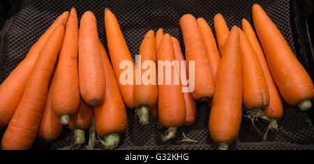 Le carote in vendita in un supermercato Foto Stock