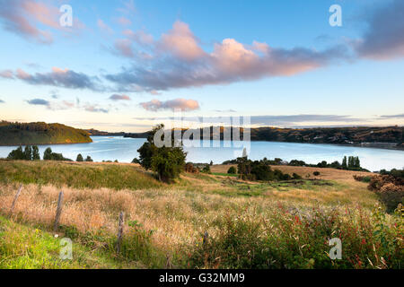 Paesaggio all'Isola di Chiloe, Cile Foto Stock