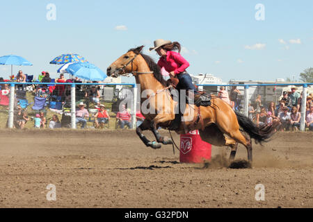 Barrel racing in un rodeo in Alberta, Canada Foto Stock