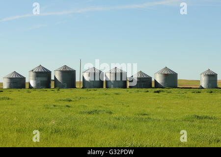 Contenitori del cereale in una fattoria in Alberta, Canada Foto Stock