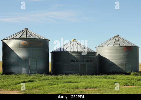 Contenitori del cereale in una fattoria in Alberta, Canada Foto Stock