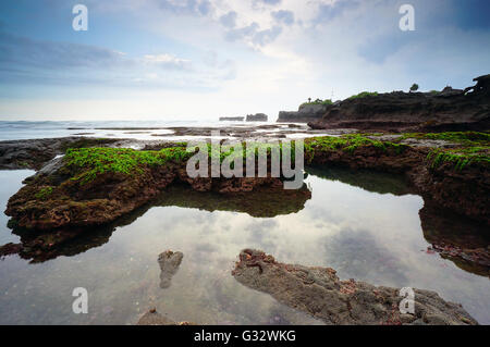 Coperte di muschio rocce sulla spiaggia Mengening a bassa marea, Bali, Indonesia Foto Stock