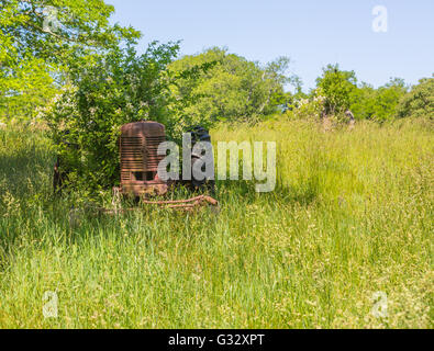 Vecchia fattoria arrugginito trattore seduto in un campo incolto in estate Foto Stock