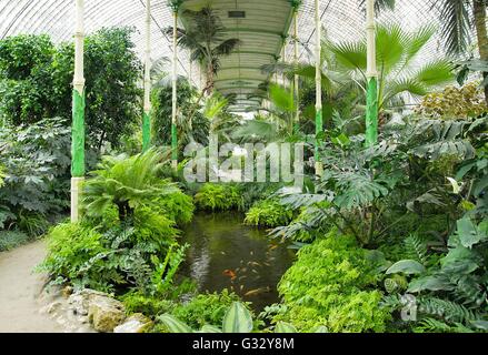 Grande serra delle palme nel castello di Lednice, Repubblica Ceca con alberi esotici, palme e fiori. L'interno contiene percorsi turistici Foto Stock