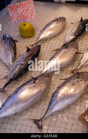 Siracusa, Italia, appena pescati tonni sono su ghiaccio Foto Stock