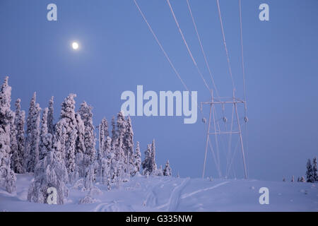 ?K skero, Finlandia, congelate di linee di potenza e polo utilità al chiaro di luna Foto Stock