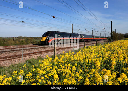 180 Zephyr classe, Grand Central treni società operativa, alta velocità treno diesel, East Coast Main Line Railway, Peterborough, Foto Stock
