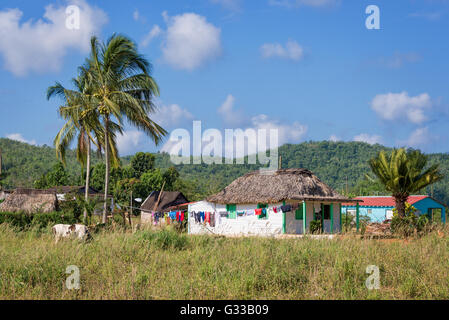 Casa di paglia in campagna nei pressi di Vinales, Cuba Foto Stock