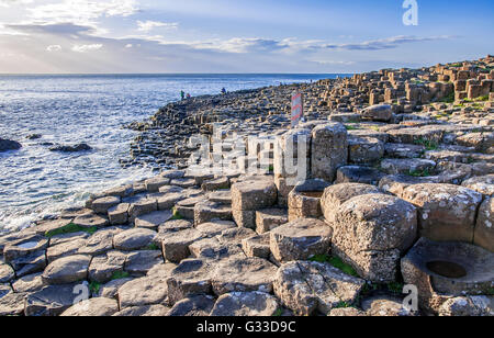 Giants Causeway, geologiche uniche formazioni esagonali di basalto vulcanico rocce sulla costa atlantica in Irlanda del Nord Foto Stock