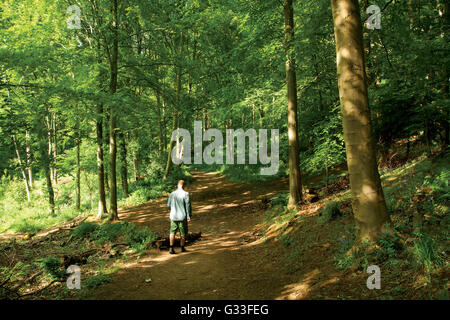 Dalkeith Country Park, Dalkeith, Midlothian Foto Stock