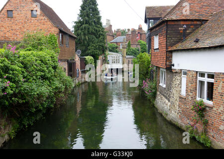 Il fiume Stour, Canterbury, nel Kent, in westgate gardens Foto Stock