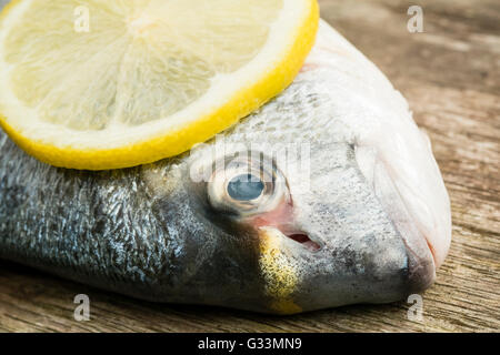 Orate di mare pesce con una fettina di limone. Foto Stock