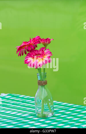 La seta rosso fiori di Gerbera in vaso di vetro sul verde e bianco controllati gingham panno e sfondo verde Foto Stock