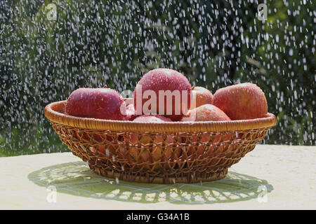 Il gruppo di mele rosse nel flusso di acqua in piedi nel cestello all'aperto Foto Stock