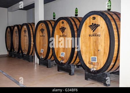 Barili di vino, Vigne Surrau, Surrau vigneto, Arzachena, Sardegna, Italia Foto Stock