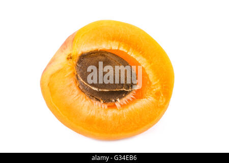 Albicocca metà con frutta kernel su sfondo bianco. Primo piano. Foto Stock