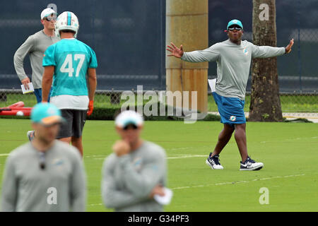 Davie, FL, Stati Uniti d'America. Il 6 giugno, 2016. I Delfini di Miami coordinatore difensivo Vance Joseph è mostrato durante la pratica in Baptist Health Training Facility a Nova Southeastern University in Davie Lunedì, 6 giugno 2016. Amy Beth Bennett, Sun Sentinel.South Florida; nessun MAGS; NESSUNA VENDITA; NO INTERNET; NO TV. © Sun-Sentinel/ZUMA filo/Alamy Live News Foto Stock