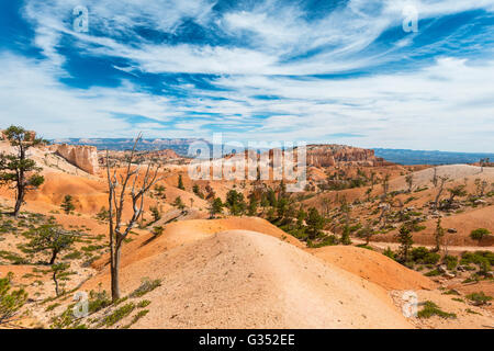 Escursionismo, rossastro formazioni rocciose, formazioni di arenaria, Parco Nazionale di Bryce Canyon, Utah, Stati Uniti d'America Foto Stock