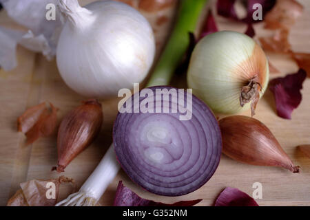 Diverse varietà di cipolle Foto Stock