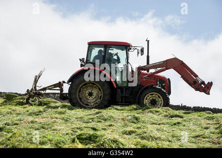 Un trattore rosso girando erba secca in estate un prato di fieno nella campagna inglese. Padre e figlio all'interno del trattore. Foto Stock