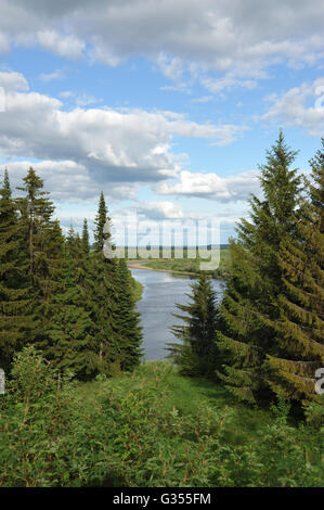 Panorama sulla taiga nella Kargort villaggio nella Repubblica di Komi della Russia. Foto Stock