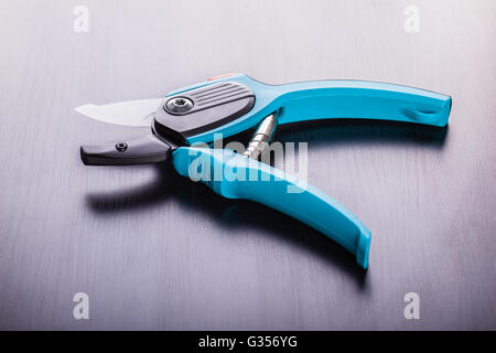 Studio shot di blue garden secateurs su di una superficie scura Foto Stock