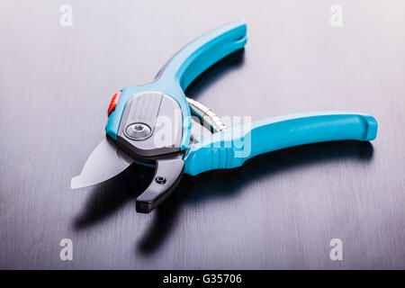 Studio shot di blue garden secateurs su di una superficie scura Foto Stock