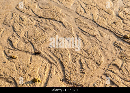 In prossimità del litorale su un tropicale spiaggia tailandese Foto Stock