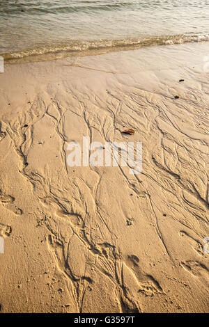 In prossimità del litorale su un tropicale spiaggia tailandese Foto Stock