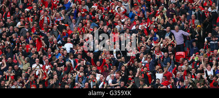 Regno tifosi festeggiare il gol vincente durante la Emirates finale di FA Cup tra Crystal Palace e il Manchester United allo Stadio di Wembley a Londra. Maggio 21, 2016. Solo uso editoriale. Nessun uso non autorizzato di audio, video, dati, calendari, club/campionato loghi o 'live' servizi. Online in corrispondenza uso limitato a 75 immagini, nessun video emulazione. Nessun uso in scommesse, giochi o un singolo giocatore/club/league pubblicazioni. James Boardman / Immagini teleobiettivo +44 7967 642437 Foto Stock