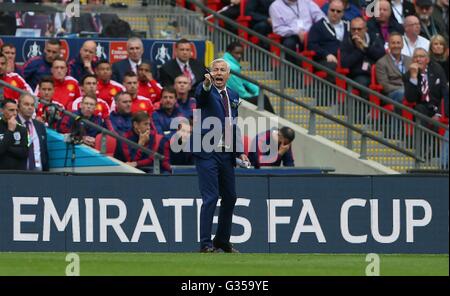 Il Palazzo di Cristallo Manager Alan Pardew gesti ai suoi giocatori durante la Emirates finale di FA Cup tra Crystal Palace e il Manchester United allo Stadio di Wembley a Londra. Maggio 21, 2016. Solo uso editoriale. Nessun uso non autorizzato di audio, video, dati, calendari, club/campionato loghi o 'live' servizi. Online in corrispondenza uso limitato a 75 immagini, nessun video emulazione. Nessun uso in scommesse, giochi o un singolo giocatore/club/league pubblicazioni. James Boardman / Immagini teleobiettivo +44 7967 642437 Foto Stock