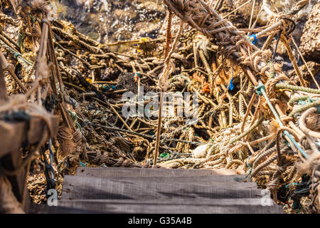 Un vecchio e pericoloso scalinata in legno che porta al mare con un sacco di corde aggrovigliati Foto Stock